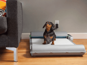BrilliantPad-2.0-Self-Cleaning-Dog-Pad-tech-gift-ideas-2020